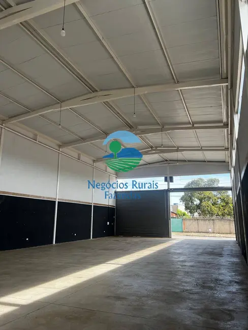 Foto 4 de Armazém / Galpão à venda, 345m2 em Aparecida De Goiania - GO