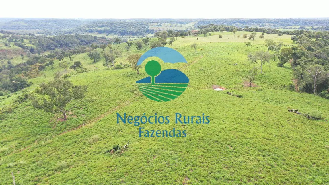 Foto 9 de Fazenda / Haras com 15 quartos à venda, 2420m2 em Setor Central, Ponte Alta Do Tocantins - TO