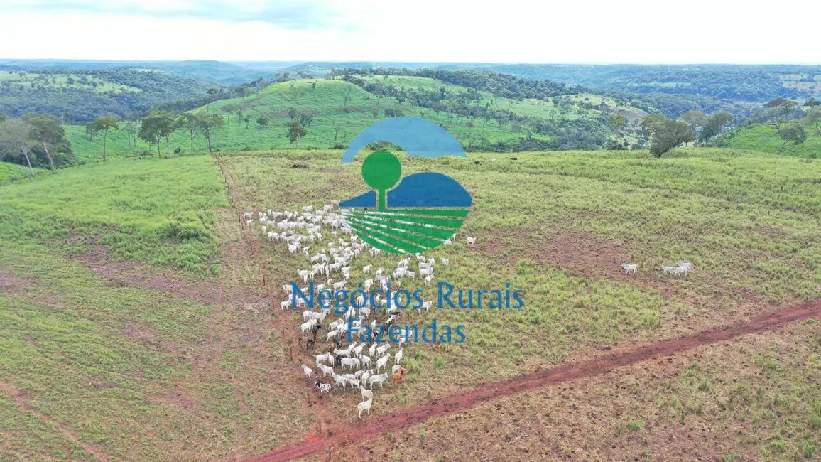 Foto 3 de Fazenda / Haras com 15 quartos à venda, 2420m2 em Setor Central, Ponte Alta Do Tocantins - TO
