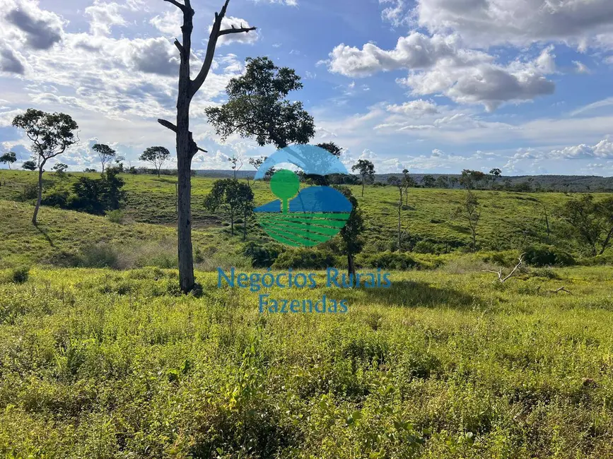 Foto 5 de Fazenda / Haras com 15 quartos à venda, 2420m2 em Setor Central, Ponte Alta Do Tocantins - TO