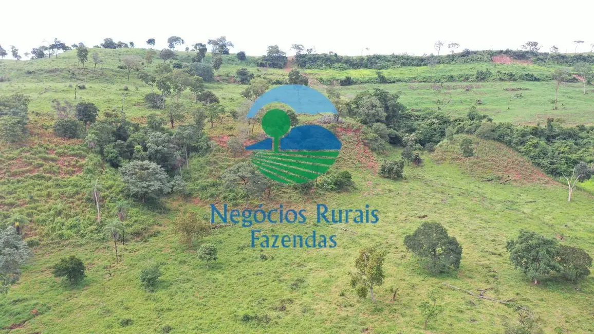 Foto 1 de Fazenda / Haras com 15 quartos à venda, 2420m2 em Setor Central, Ponte Alta Do Tocantins - TO