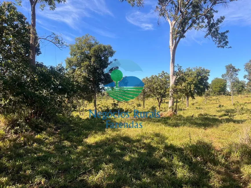 Fazenda / Haras à venda, 780m2 em Mara Rosa - GO - imagem 8 Foto 8 de Fazenda / Haras à venda, 780m2 em Mara Rosa - GO