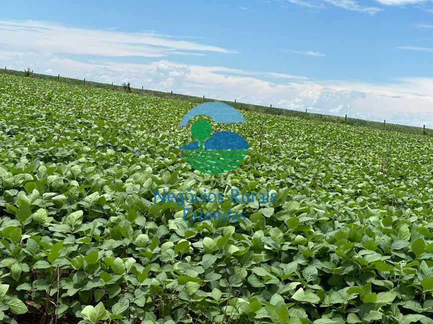 Foto 5 de Fazenda / Haras à venda, 1755m2 em Padre Bernardo - GO