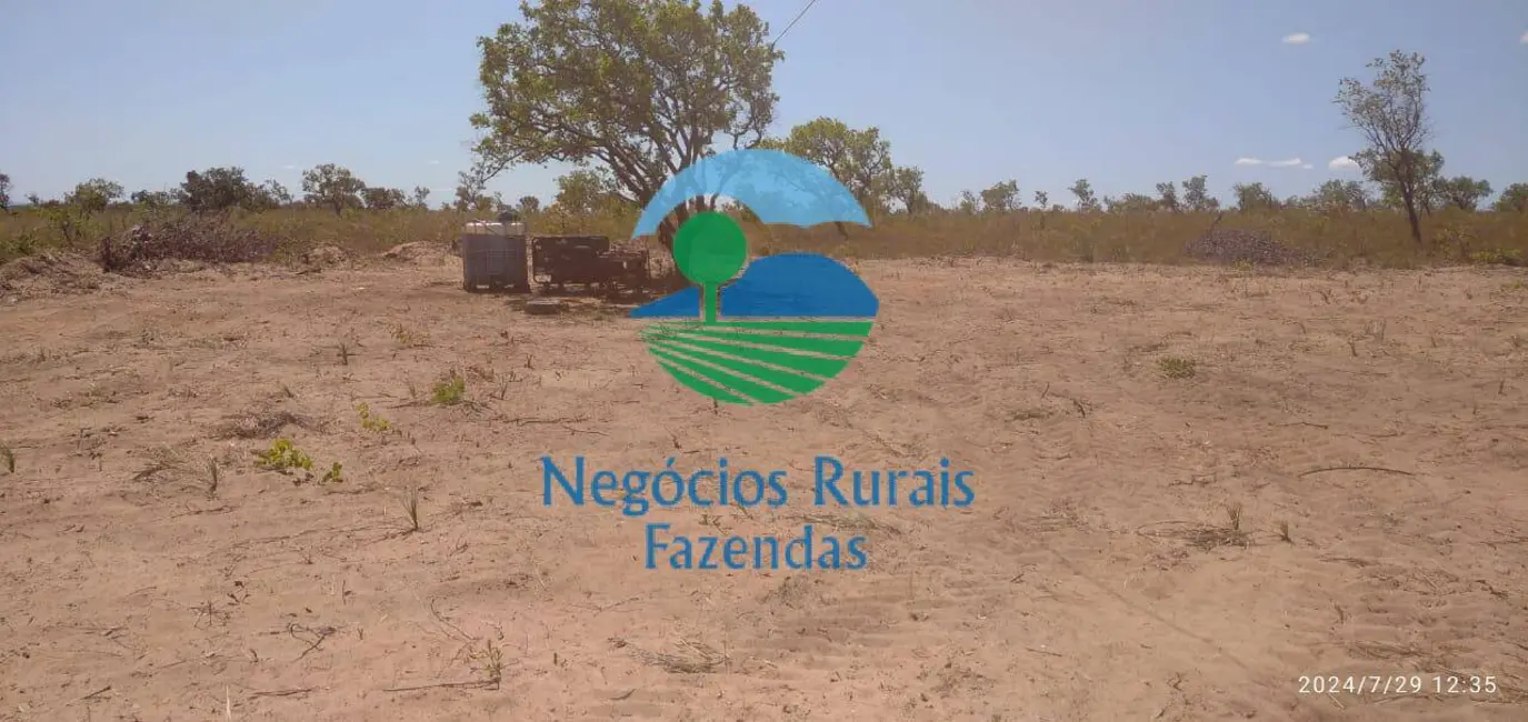 Foto 7 de Fazenda / Haras à venda, 36000m2 em Alto Parnaiba - MA