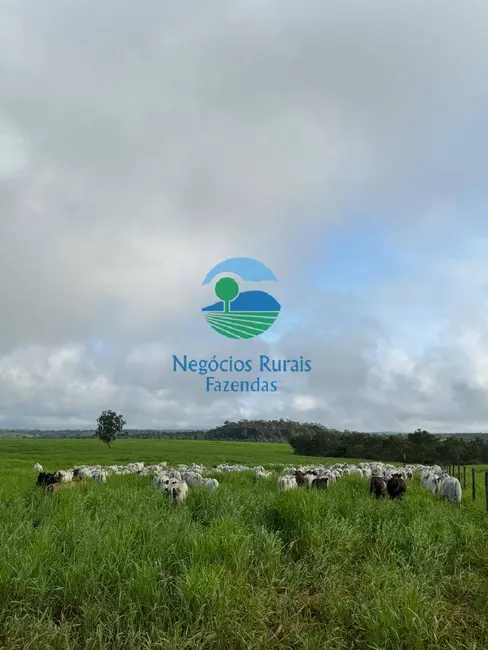 Foto 4 de Fazenda / Haras à venda, 345m2 em Recursolandia - TO