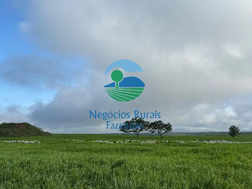Foto 3 de Fazenda / Haras à venda, 345m2 em Recursolandia - TO
