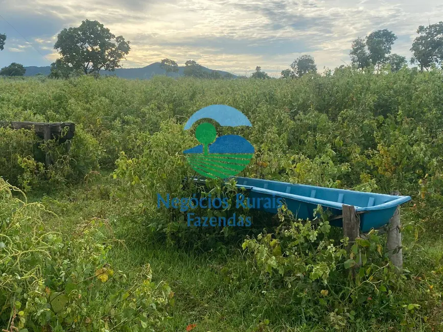 Foto 4 de Fazenda / Haras à venda, 242m2 em Mara Rosa - GO