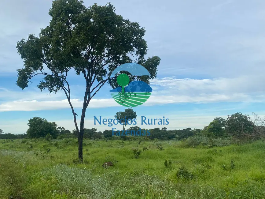 Foto 3 de Fazenda / Haras à venda, 242m2 em Mara Rosa - GO