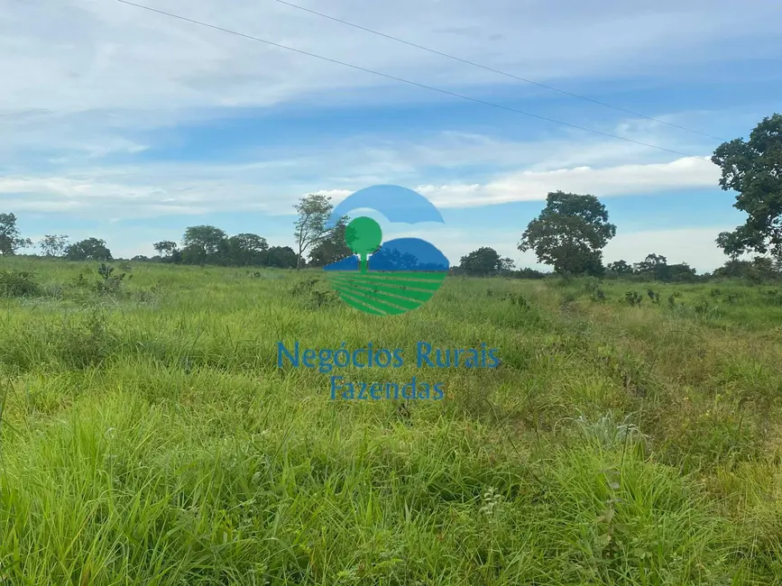Foto 5 de Fazenda / Haras à venda, 242m2 em Mara Rosa - GO