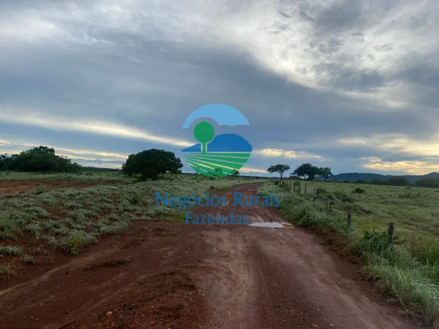 Foto 6 de Fazenda / Haras à venda, 242m2 em Mara Rosa - GO