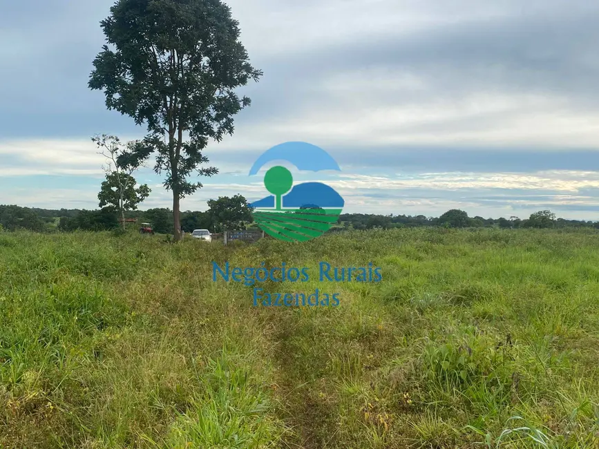 Foto 8 de Fazenda / Haras à venda, 242m2 em Mara Rosa - GO