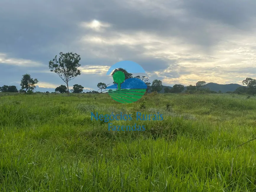 Foto 1 de Fazenda / Haras à venda, 242m2 em Mara Rosa - GO