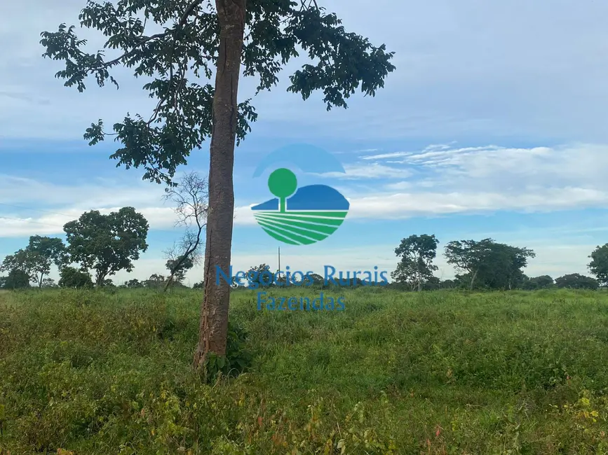 Foto 7 de Fazenda / Haras à venda, 242m2 em Mara Rosa - GO