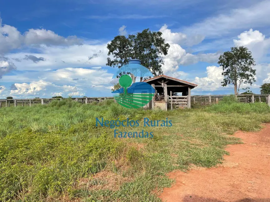 Fazenda / Haras com 9 quartos à venda, 2032m2 em Porangatu - GO - imagem 8 Foto 8 de Fazenda / Haras com 9 quartos à venda, 2032m2 em Porangatu - GO