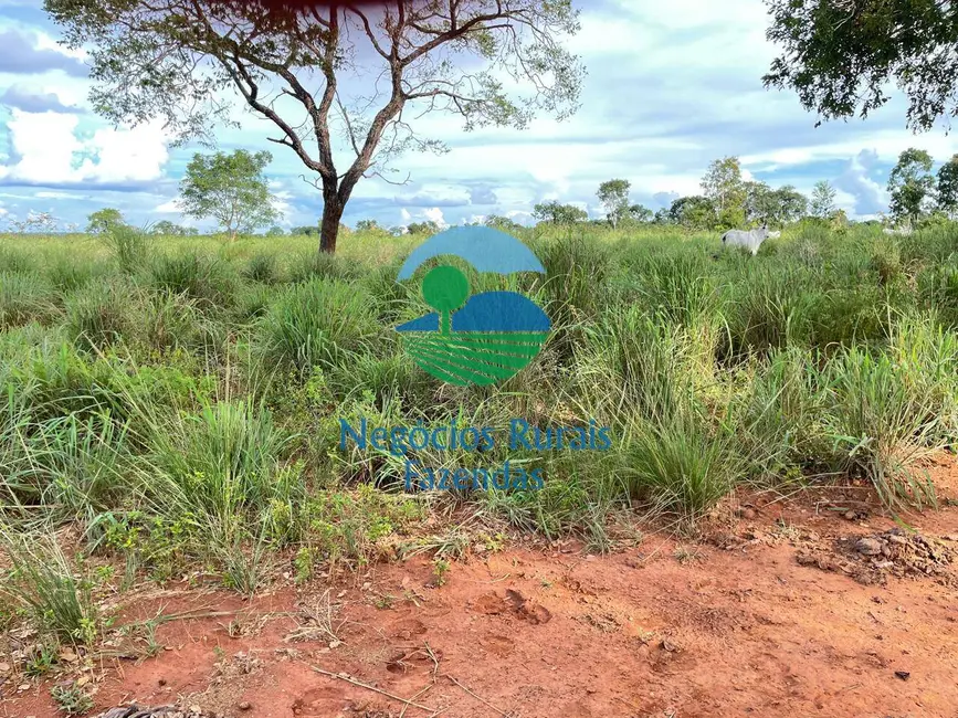 Fazenda / Haras com 9 quartos à venda, 2032m2 em Porangatu - GO - imagem 9 Foto 9 de Fazenda / Haras com 9 quartos à venda, 2032m2 em Porangatu - GO