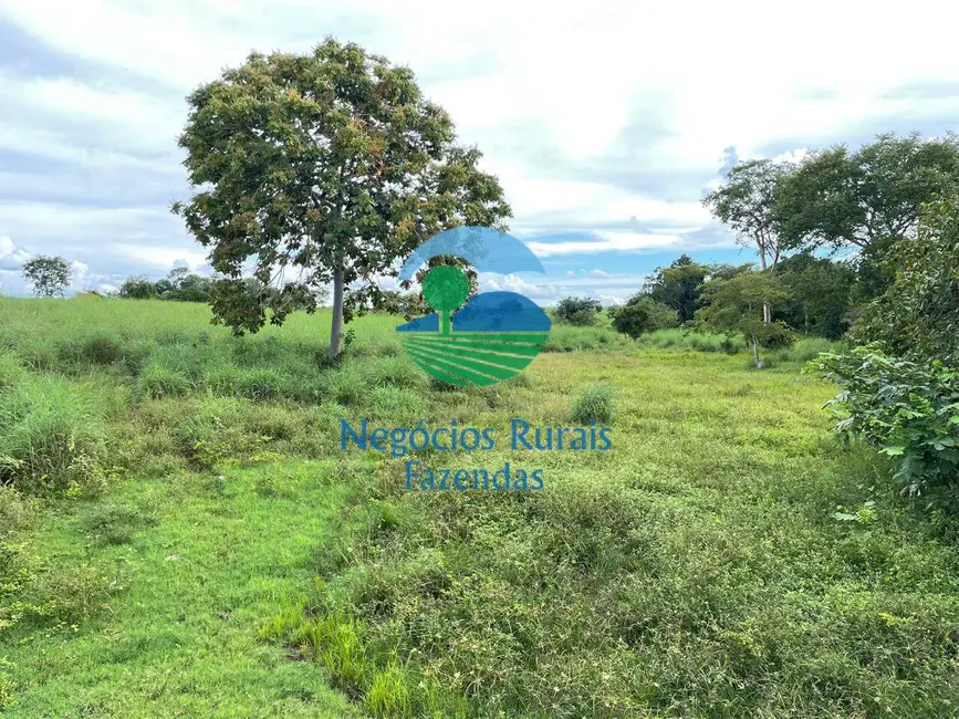 Fazenda / Haras com 9 quartos à venda, 2032m2 em Porangatu - GO - imagem 3 Foto 3 de Fazenda / Haras com 9 quartos à venda, 2032m2 em Porangatu - GO