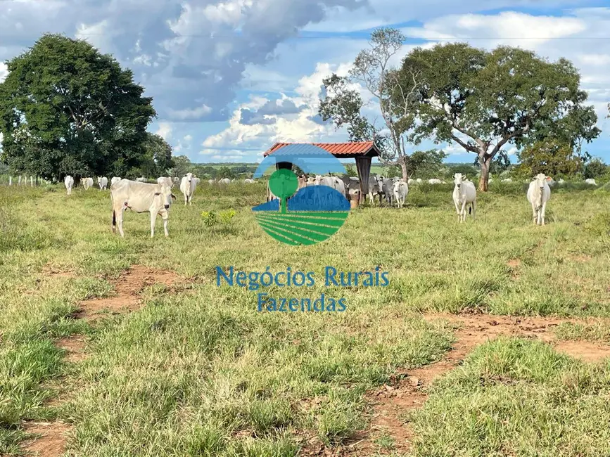 Fazenda / Haras com 9 quartos à venda, 2032m2 em Porangatu - GO - imagem 6 Foto 6 de Fazenda / Haras com 9 quartos à venda, 2032m2 em Porangatu - GO