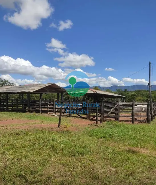Foto 7 de Fazenda / Haras com 4 quartos à venda, 295m2 em Centro, Formosa - GO