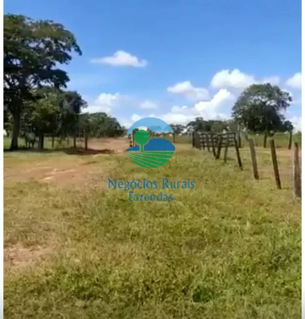Foto 5 de Fazenda / Haras com 4 quartos à venda, 295m2 em Centro, Formosa - GO