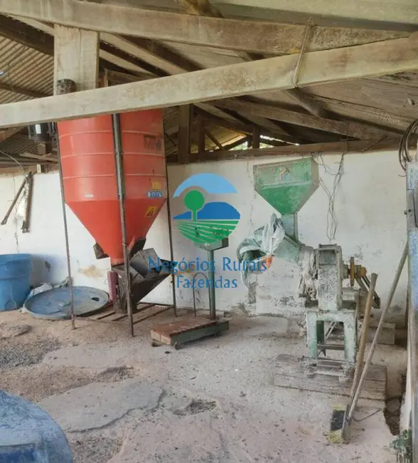 Foto 6 de Fazenda / Haras com 4 quartos à venda, 295m2 em Centro, Formosa - GO