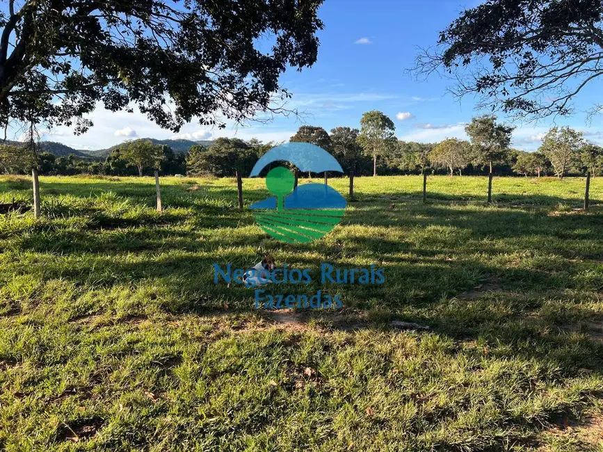 Fazenda / Haras à venda, 300m2 em Porangatu - GO - imagem 5 Foto 5 de Fazenda / Haras à venda, 300m2 em Porangatu - GO