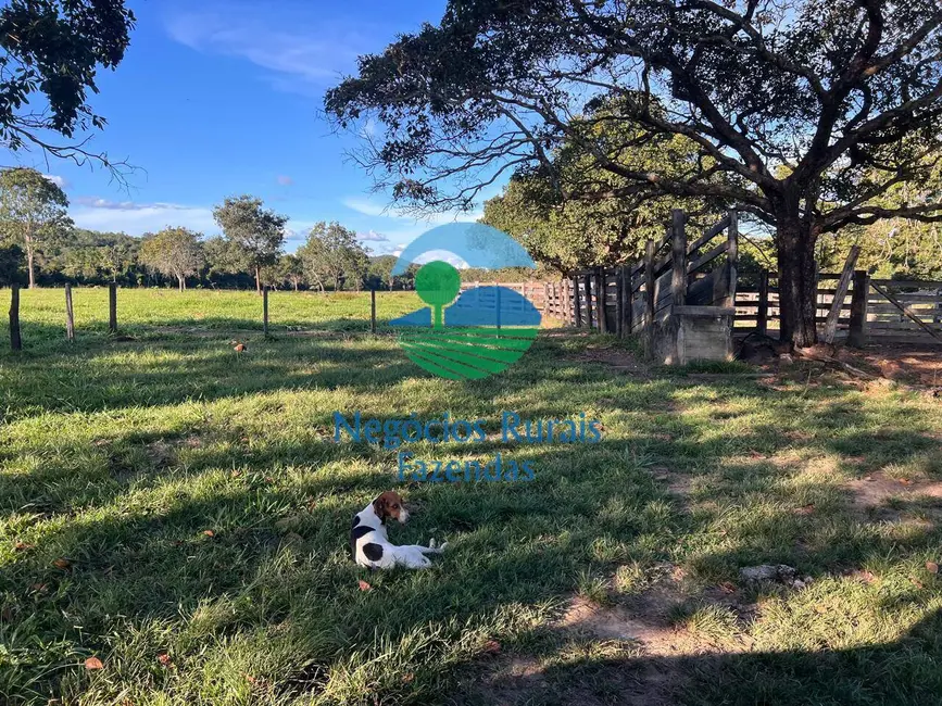 Fazenda / Haras à venda, 300m2 em Porangatu - GO - imagem 7 Foto 7 de Fazenda / Haras à venda, 300m2 em Porangatu - GO
