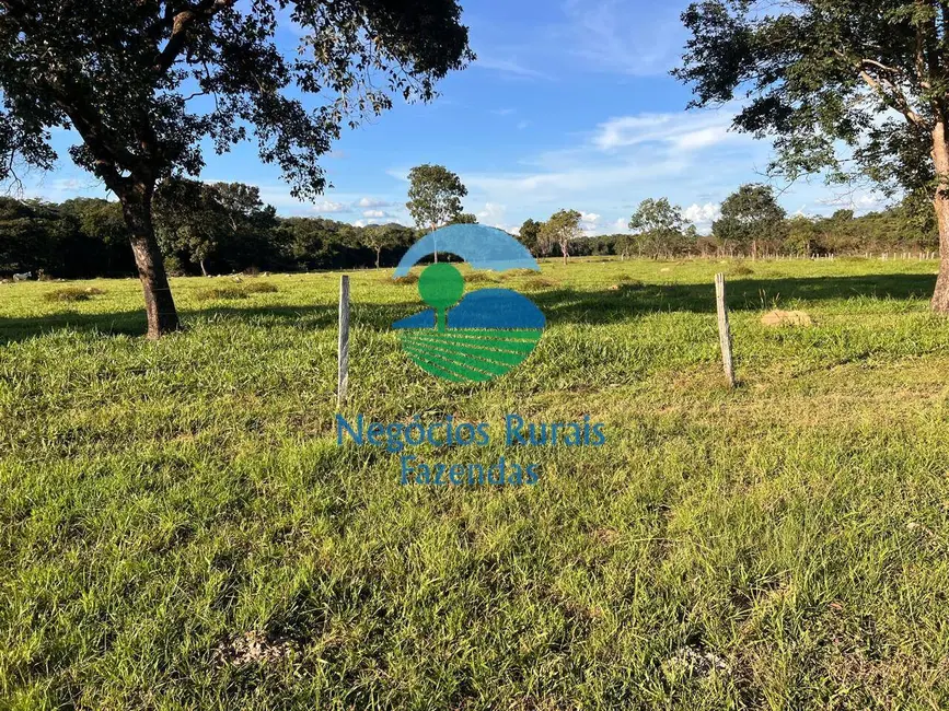 Fazenda / Haras à venda, 300m2 em Porangatu - GO - imagem 3 Foto 3 de Fazenda / Haras à venda, 300m2 em Porangatu - GO