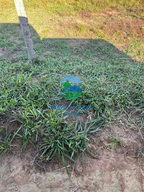 Fazenda / Haras à venda, 300m2 em Porangatu - GO - imagem 9 Foto 9 de Fazenda / Haras à venda, 300m2 em Porangatu - GO