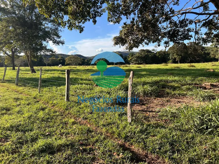 Fazenda / Haras à venda, 300m2 em Porangatu - GO - imagem 4 Foto 4 de Fazenda / Haras à venda, 300m2 em Porangatu - GO