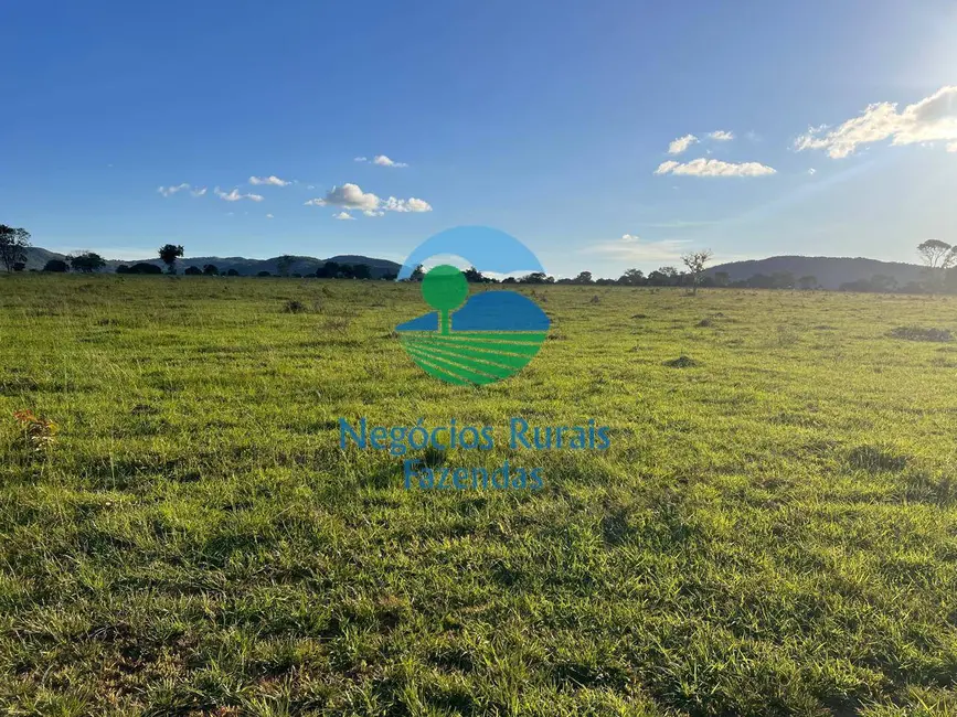 Fazenda / Haras à venda, 300m2 em Porangatu - GO - imagem 1 Foto 1 de Fazenda / Haras à venda, 300m2 em Porangatu - GO