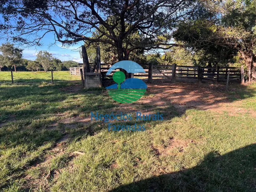 Fazenda / Haras à venda, 300m2 em Porangatu - GO - imagem 6 Foto 6 de Fazenda / Haras à venda, 300m2 em Porangatu - GO