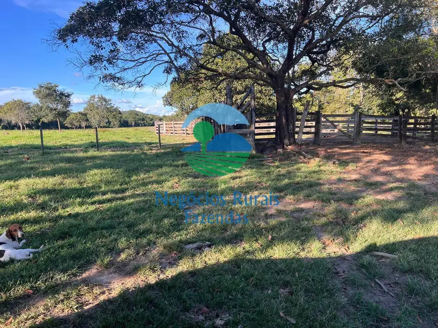 Fazenda / Haras à venda, 300m2 em Porangatu - GO - imagem 8 Foto 8 de Fazenda / Haras à venda, 300m2 em Porangatu - GO