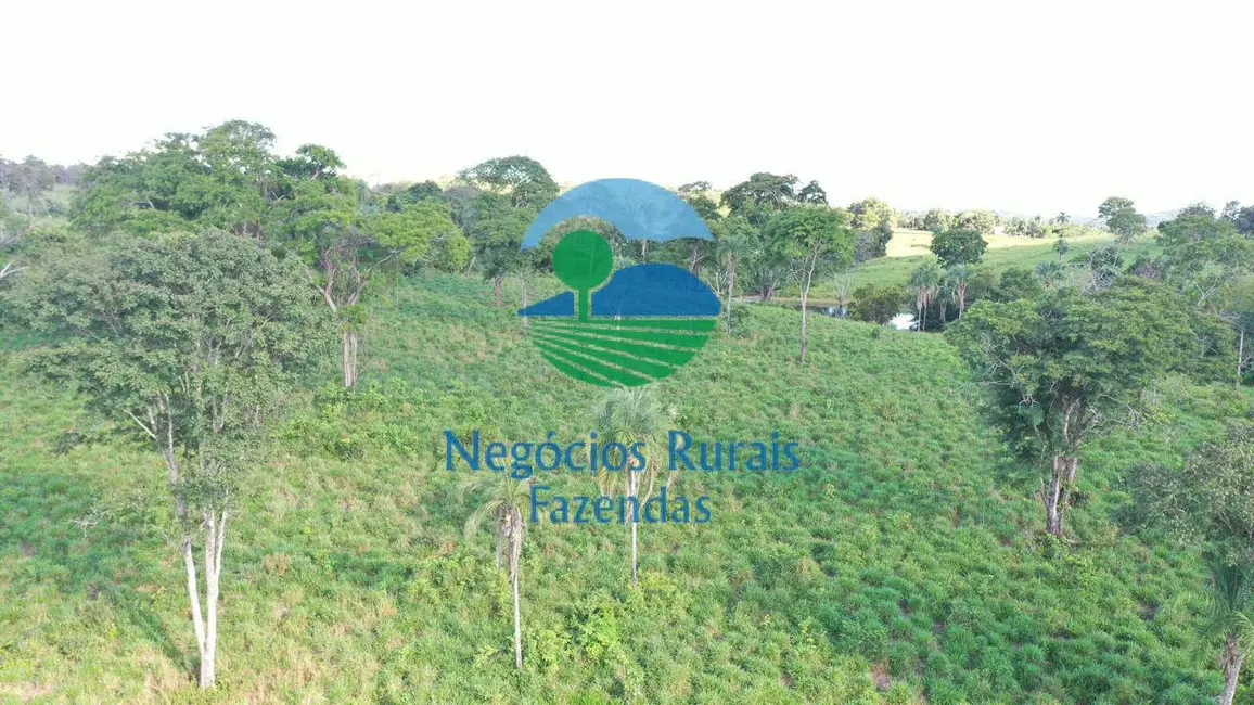 Chácara à venda, 150m2 em Porangatu - GO - imagem 7 Foto 7 de Chácara à venda, 150m2 em Porangatu - GO