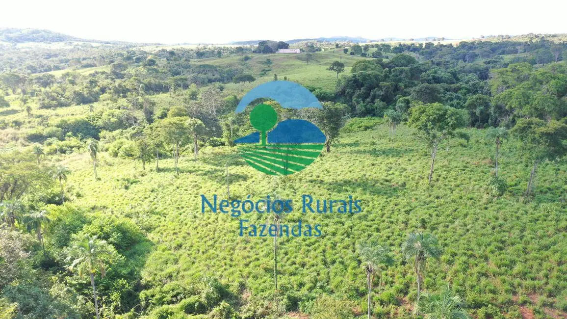 Chácara à venda, 150m2 em Porangatu - GO - imagem 8 Foto 8 de Chácara à venda, 150m2 em Porangatu - GO