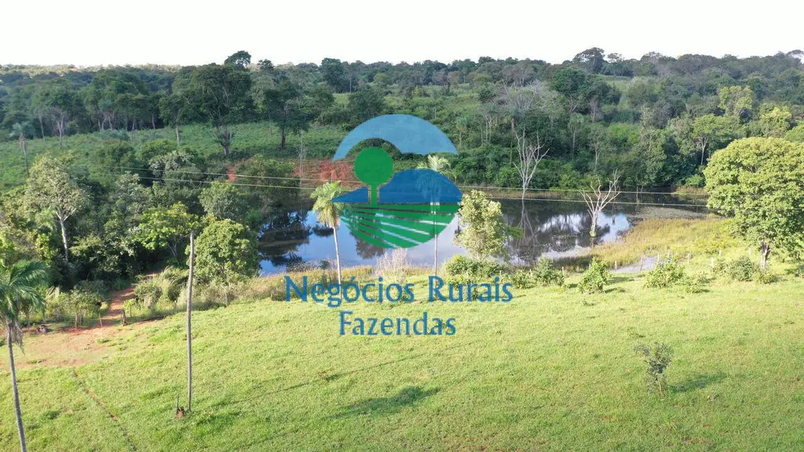 Chácara à venda, 150m2 em Porangatu - GO - imagem 9 Foto 9 de Chácara à venda, 150m2 em Porangatu - GO