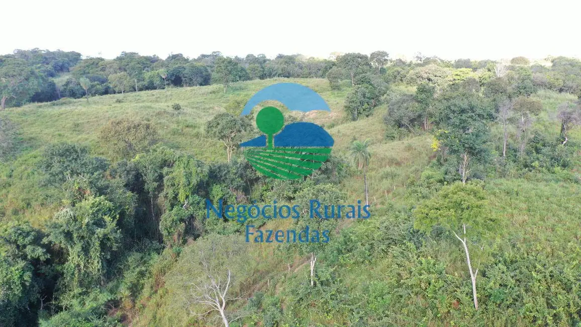 Chácara à venda, 150m2 em Porangatu - GO - imagem 5 Foto 5 de Chácara à venda, 150m2 em Porangatu - GO