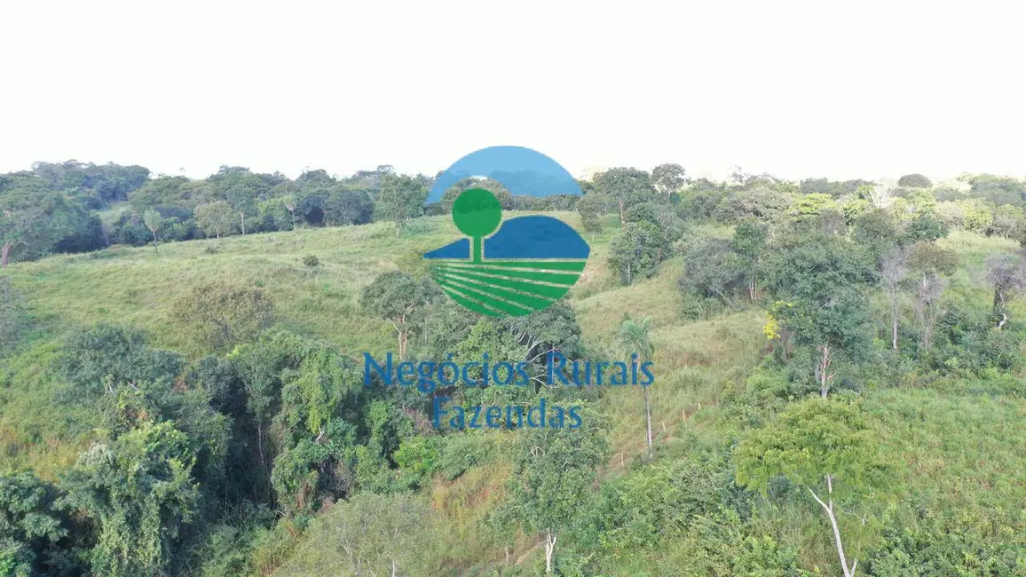 Chácara à venda, 150m2 em Porangatu - GO - imagem 6 Foto 6 de Chácara à venda, 150m2 em Porangatu - GO