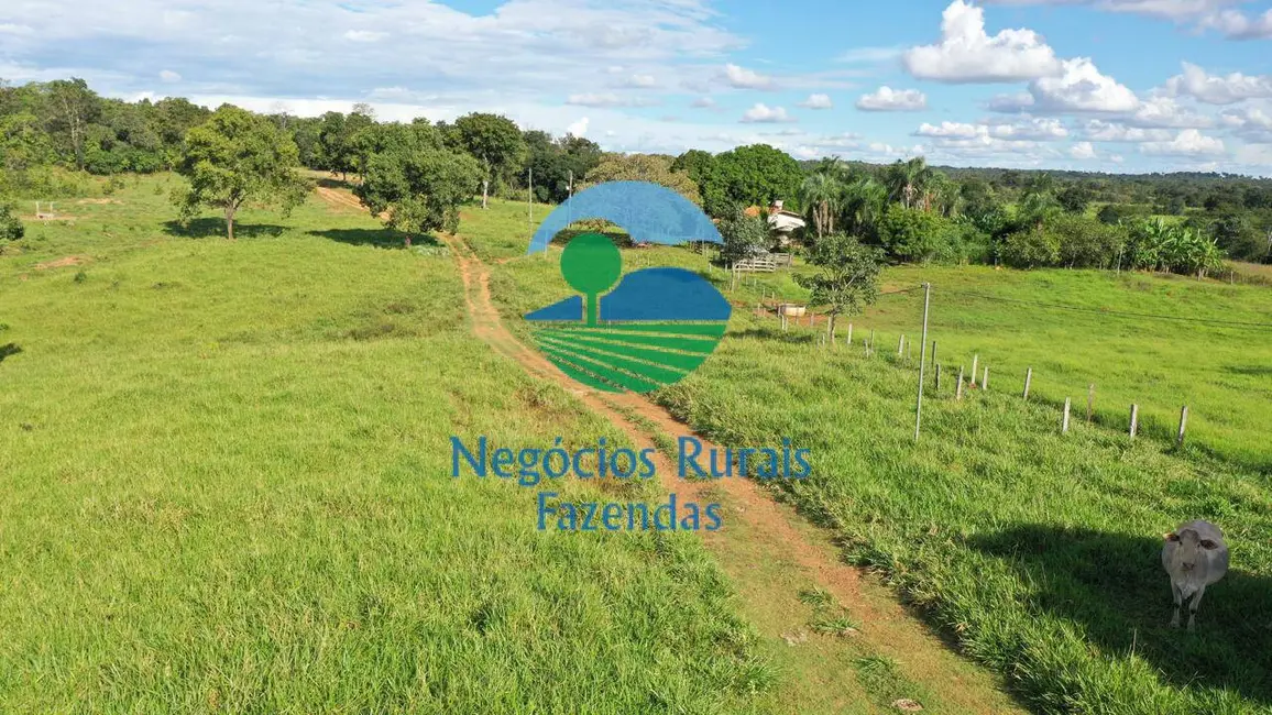 Chácara à venda, 150m2 em Porangatu - GO - imagem 2 Foto 2 de Chácara à venda, 150m2 em Porangatu - GO