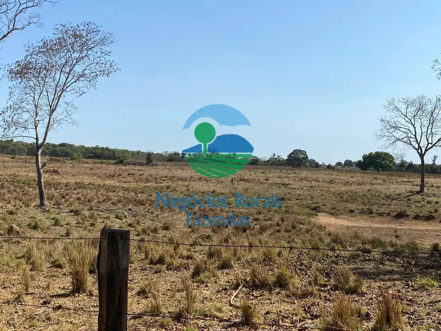 Fazenda / Haras à venda em Setor Central, Gurupi - TO - imagem 7 Foto 7 de Fazenda / Haras à venda em Setor Central, Gurupi - TO