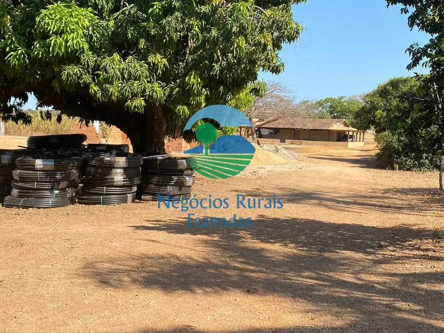 Foto 2 de Fazenda / Haras à venda em Setor Central, Gurupi - TO