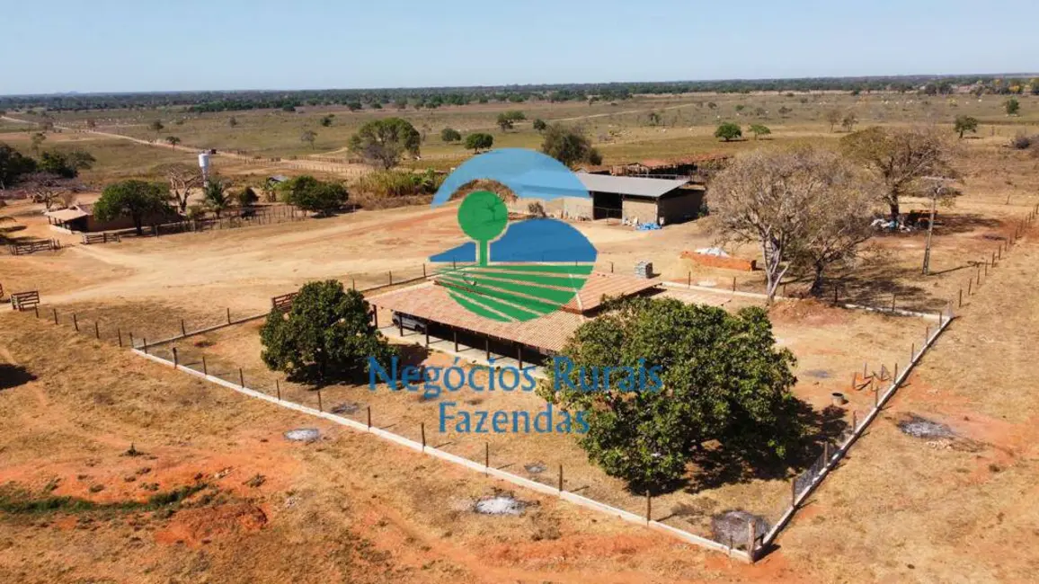 Foto 16 de Fazenda / Haras à venda em Setor Central, Gurupi - TO