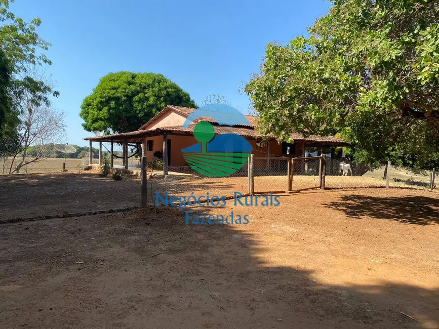 Fazenda / Haras à venda em Setor Central, Gurupi - TO - imagem 3 Foto 3 de Fazenda / Haras à venda em Setor Central, Gurupi - TO