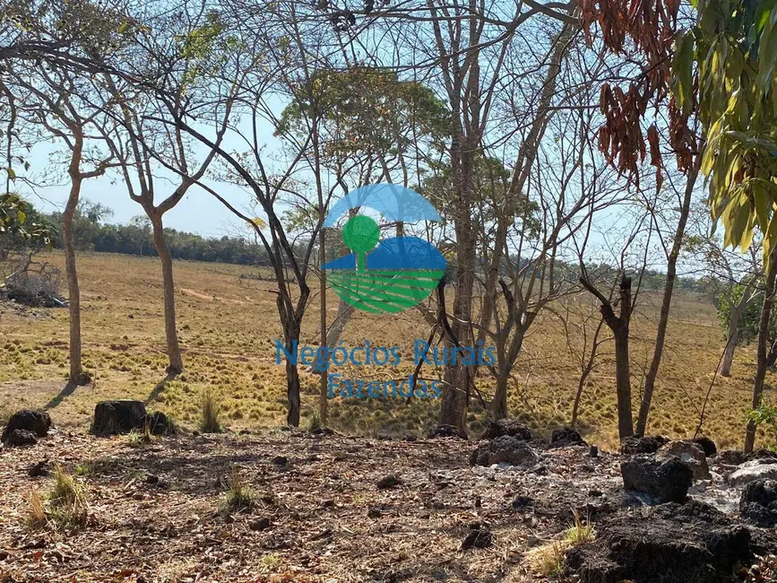 Fazenda / Haras à venda em Setor Central, Gurupi - TO - imagem 6 Foto 6 de Fazenda / Haras à venda em Setor Central, Gurupi - TO
