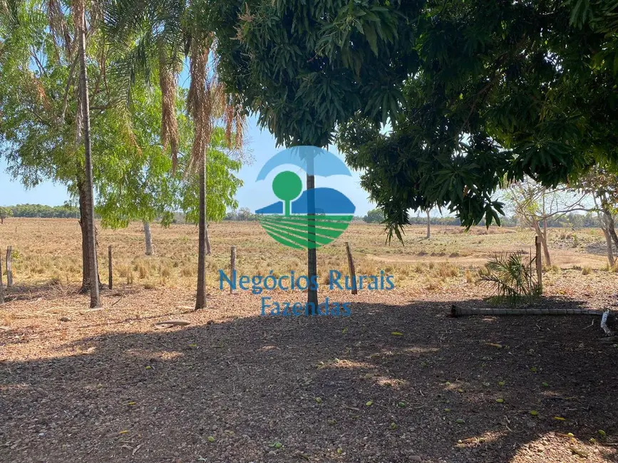 Fazenda / Haras à venda em Setor Central, Gurupi - TO - imagem 4 Foto 4 de Fazenda / Haras à venda em Setor Central, Gurupi - TO