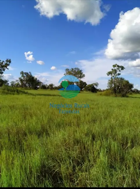 Fazenda / Haras à venda, 992m2 em Nova Olinda - TO - imagem 3 Foto 3 de Fazenda / Haras à venda, 992m2 em Nova Olinda - TO