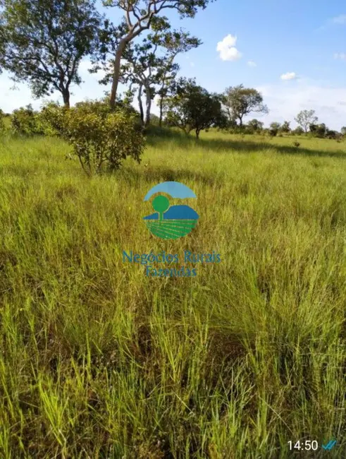 Fazenda / Haras à venda, 992m2 em Nova Olinda - TO - imagem 1 Foto 1 de Fazenda / Haras à venda, 992m2 em Nova Olinda - TO