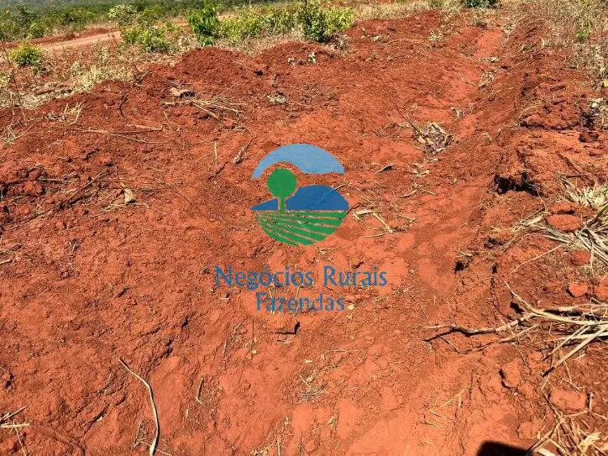 Foto 3 de Fazenda / Haras à venda, 1113m2 em Darcinopolis - TO