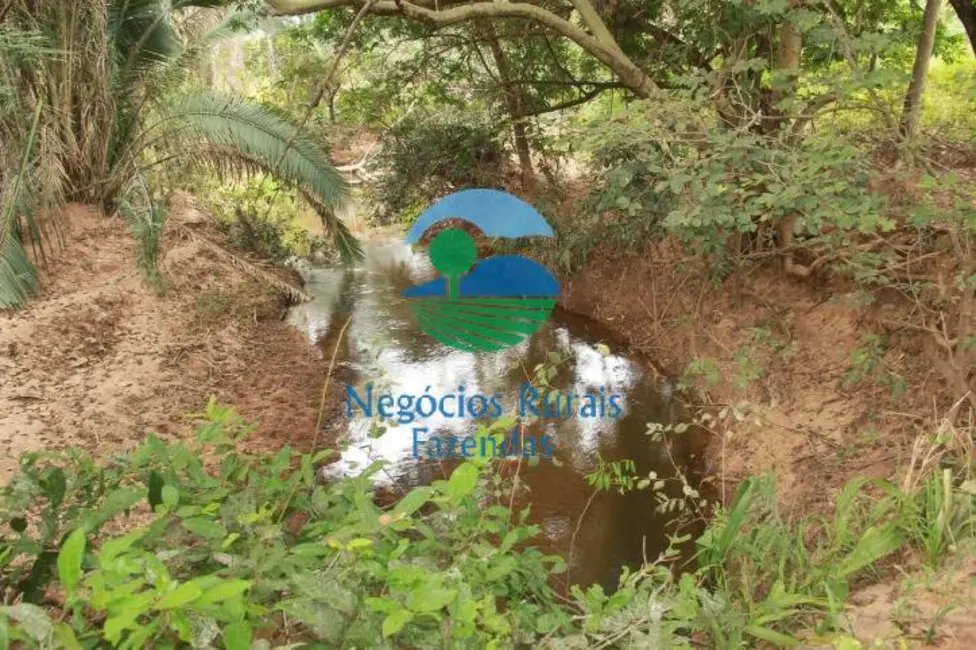 Foto 3 de Fazenda / Haras com 2 quartos à venda, 340m2 em Centro, Januaria - MG