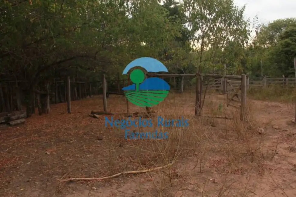 Foto 7 de Fazenda / Haras com 2 quartos à venda, 340m2 em Centro, Januaria - MG