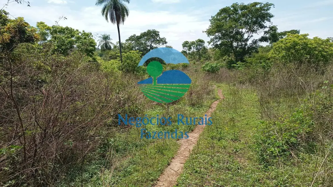 Foto 4 de Fazenda / Haras com 2 quartos à venda, 954m2 em Campinacu - GO